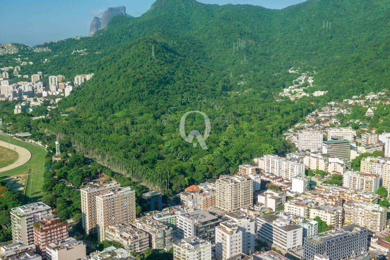 Imagem da propriedade 1119742 25