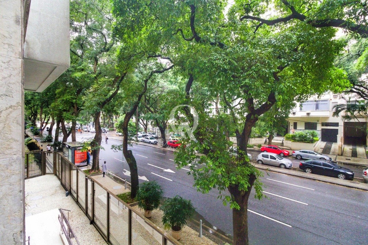 Imagem da propriedade 1120006 29