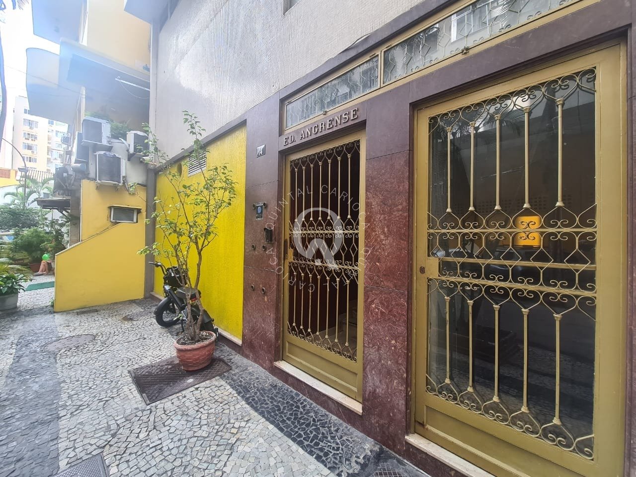 Imagem da propriedade 1120110 4